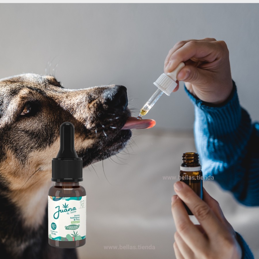 CBD PARA PERROS JUANA